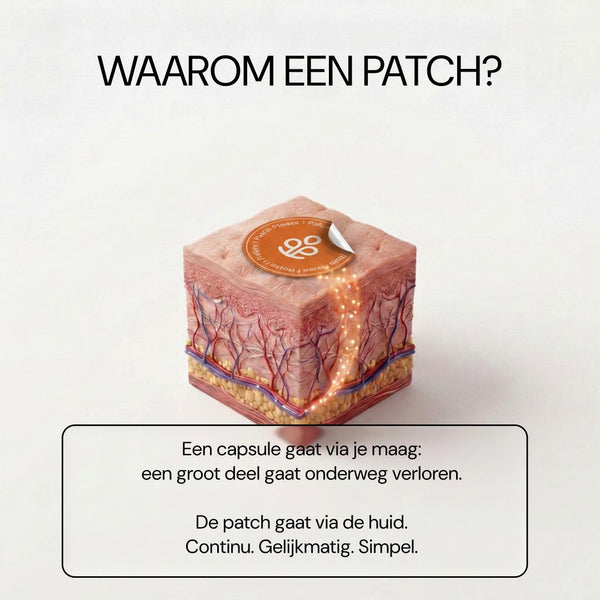 Relief Please patch - waarom een patch